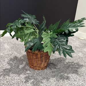 Hearth and Hand- Wicker Basket Planter with Lush Green Foliage